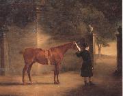 Mr Wombell's Hunter with a Groom in a Courtyard John Ferneley